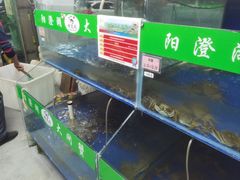 -阳澄湖大闸蟹·琼灵阁牌品牌连锁(吴中总店)