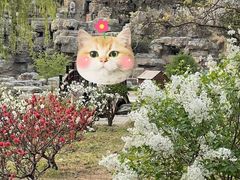 -莲花池公园