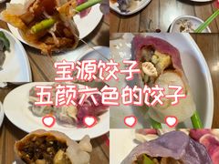 -宝源饺子(麦子店街店)