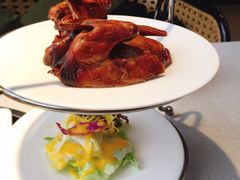 -拈菜(观音桥阳光世纪店)