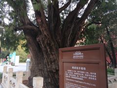 -北京市劳动人民文化宫(太庙)