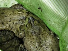 -锦绣大地生鲜食品厅