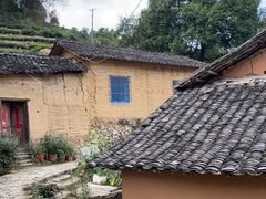 -杨家堂村