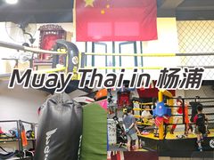-成泰格斗(环球商业广场店)