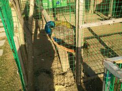 -明珠湖天鹅苑·农家菜馆