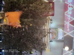 -老板恋上鱼(印象城店)