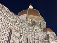 -圣母百花大教堂穹顶