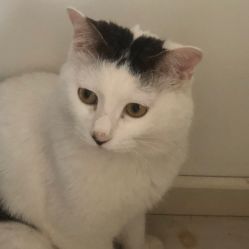 点击看大图 -Bodal美甲美睫皮肤管理工作室