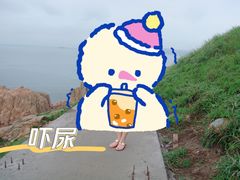 -枸杞岛