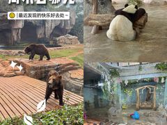 -海南热带野生动植物园