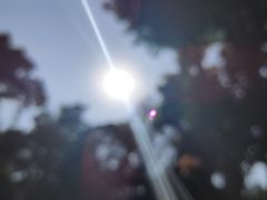 -船政文化景区-罗星塔公园