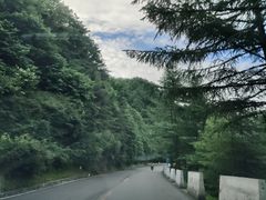-沣峪口