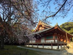 -醍醐寺
