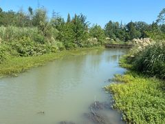 -桤木河湿地公园