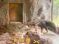-深圳野生动物园