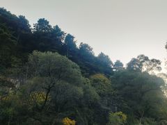-秦岭风景区