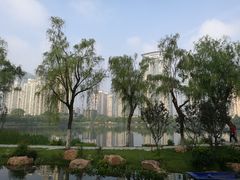 -西北湖绿化广场