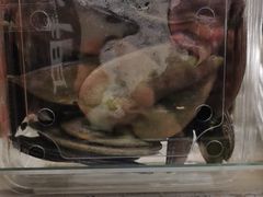 -盒马鲜生(189购物中心店)