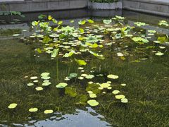 -长洲岛