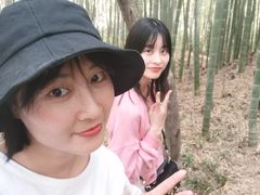 -青龙山国家森林公园