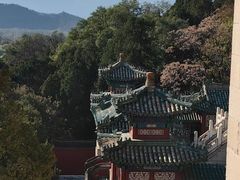 -颐和园