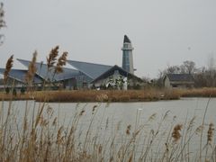 -盐城丹顶鹤湿地生态旅游区