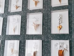 -海湾壹品·粤菜·早茶·烤鸭(拱北店)