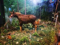 -陕西自然博物馆