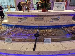 -澜悦港海鲜体验主题餐厅