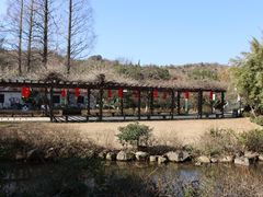 -白马涧龙池景区