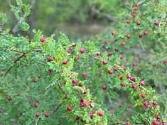 -野鸭湖国家湿地公园