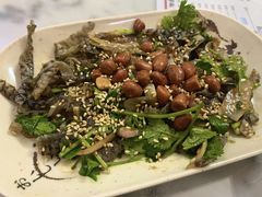 凉拌鱼皮-针姨