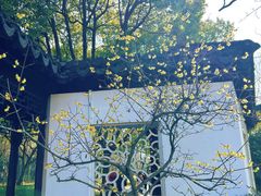-寒山寺