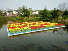 -白马涧龙池景区