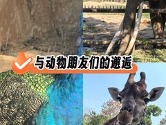 -南昌动物园