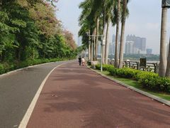 -南宁南湖公园