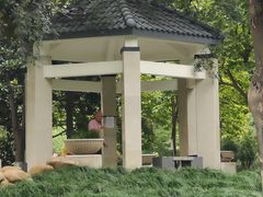 -后襄河公园