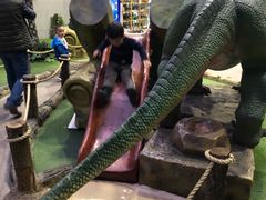 -陕西自然博物馆