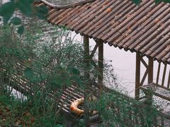 -兰亭风景区