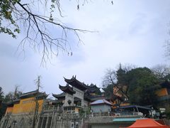-鸡鸣赐茶(鸡鸣寺路店)