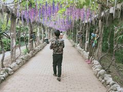 -呀路古热带植物园