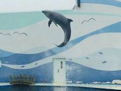 -北戴河圣蓝海洋公园