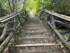 -汤旺河林海奇石景区