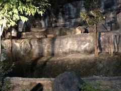 -清迈夜间动物园
