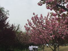 -龙寺生态园