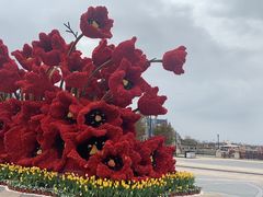 -荷兰花海