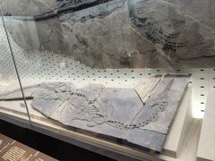 -浙江自然博物院(杭州馆)