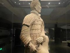 -秦始皇帝陵博物院(兵马俑)