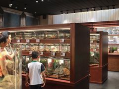 -帕帕拉兹宠物(亚洲旗舰店)