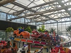 -南宫五洲植物乐园